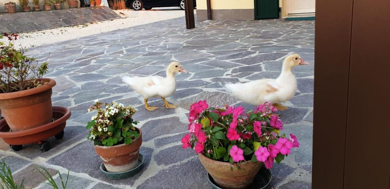 Borgo Tarapino Hotell Ferrara Exteriör bild